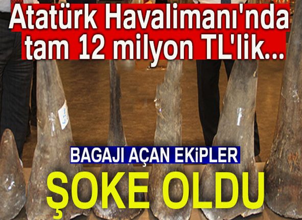 Atatürk Havalimani’nda 12 milyon TL’lik gergedan boynuzu yakalandi