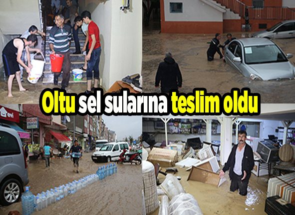 Oltu sel sularina teslim oldu