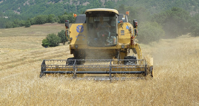 Ticaret Bakanligi un ihracatina sinirlama getirdi