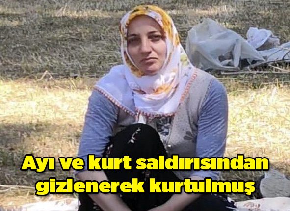 Ayi ve kurt saldirisindan gizlenerek kurtulan kadin, kusburnu yiyerek hayatta kaldi