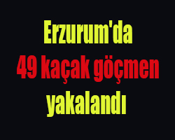 Erzurum’da 49 kaçak göçmen yakalandi