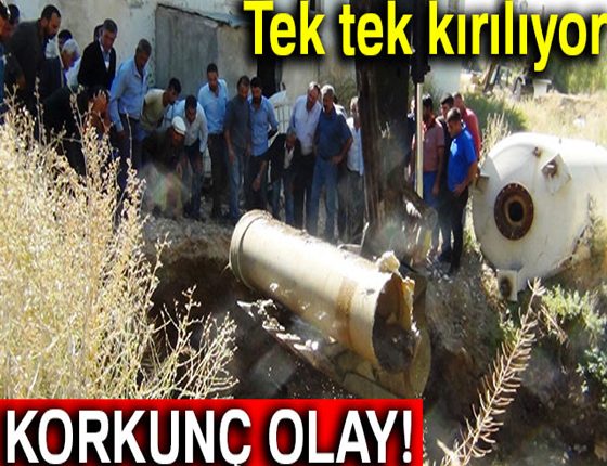 Korkunç olay! Tek tek kiriliyor