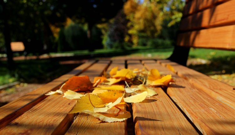 Ata Botanik Park, hazan mevsiminde ilgi odagi