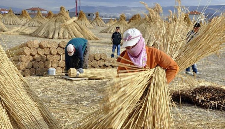 Uluslararasi Kirsal Kadinlar Günü…