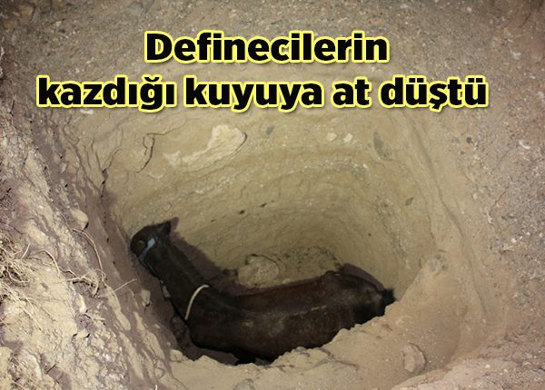 Definecilerin kazdigi kuyuya at düstü