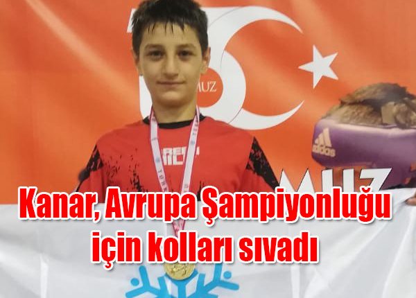 Kanar, Avrupa Sampiyonlugu için kollari sivadi