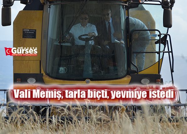 Vali Memis, tarla biçti, yevmiye istedi