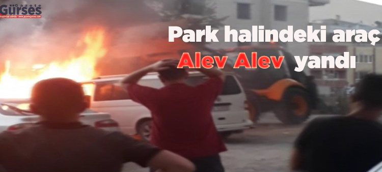 Park halindeki araç alev alev yandi