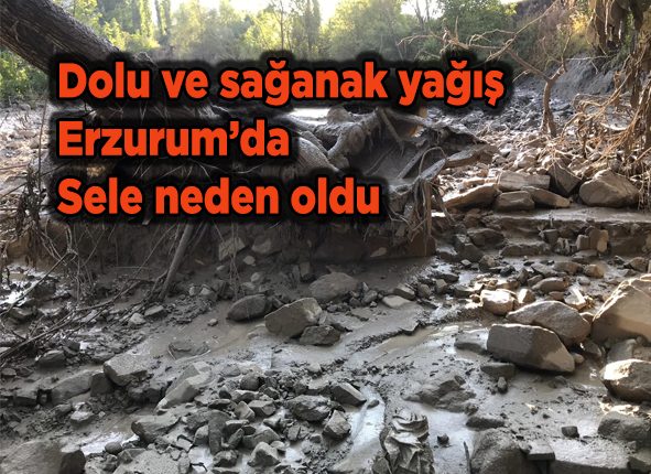 Dolu ve saganak yagis Erzurum’da sele neden oldu