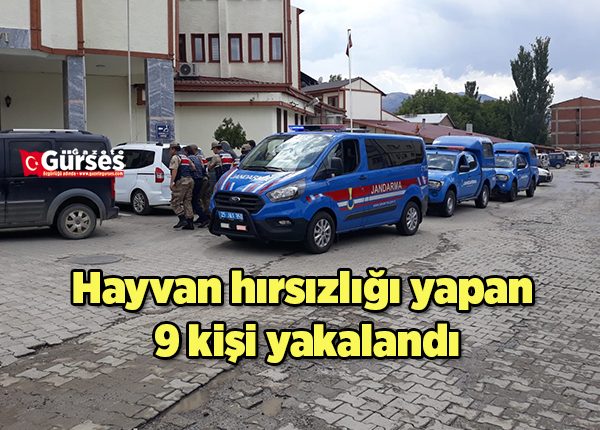 Hayvan hirsizligi yapan 9 kisi yakalandi