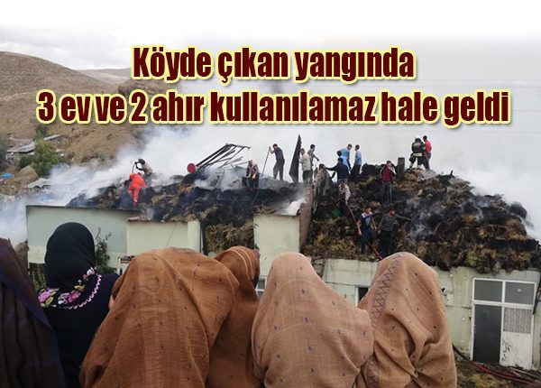 Köyde çikan yanginda 3 ev ve 2 ahir kullanilamaz hale geldi