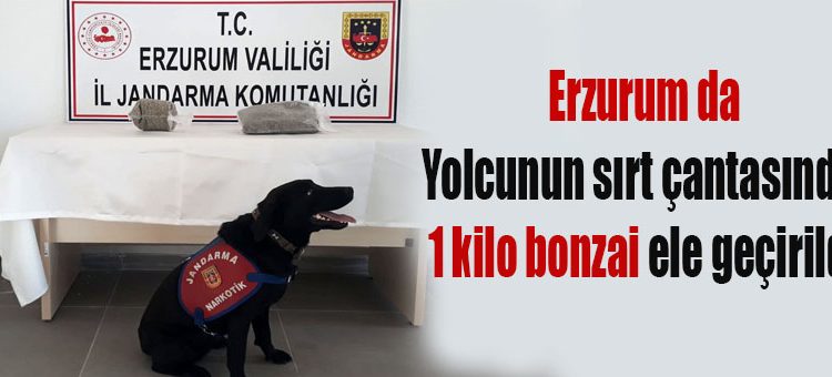 Yolcunun sirt çantasinda 1 kilo bonzai ele geçirildi