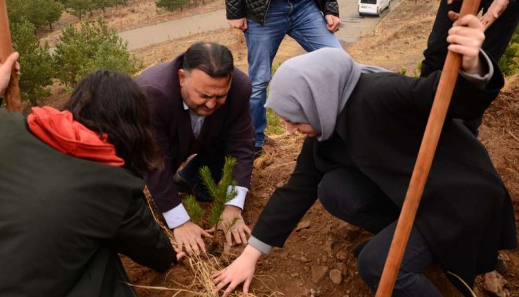 Cumhuriyetin 96. yilinda 96 fidan toprakla bulustu