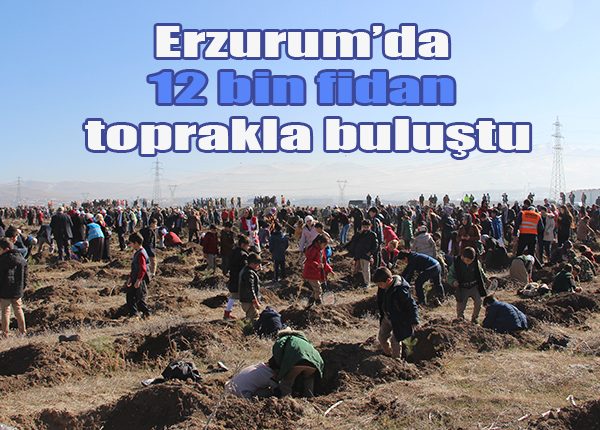 Erzurum’da 12 bin fidan toprakla bulustu