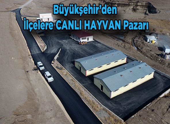 Büyüksehir’den ilçelere canli hayvan pazari