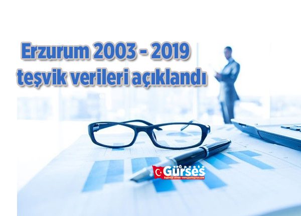 Erzurum 2003 – 2019 tesvik verileri açiklandi