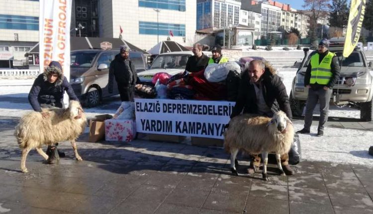 Erzurumlu besici depremzedeler için koyun bagisinda bulundu