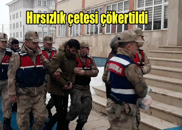 Hirsizlik çetesi çökertildi