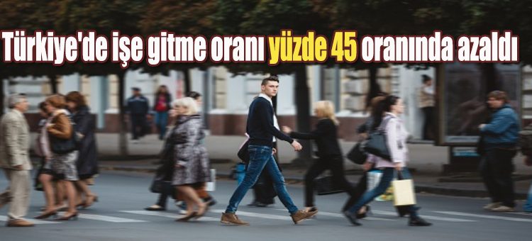 Türkiye’de ise gitme orani yüzde 45 oraninda azaldi