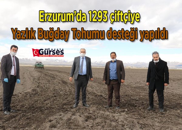 Erzurum’da 1293 çiftçiye ‘Yazlik Bugday Tohumu’ destegi yapildi