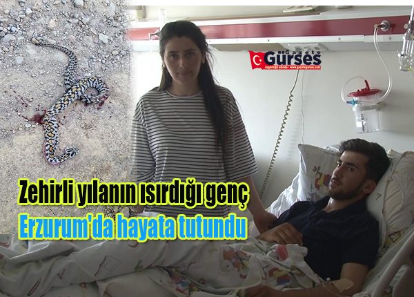 Zehirli yilanin isirdigi genç Erzurum’da hayata tutundu