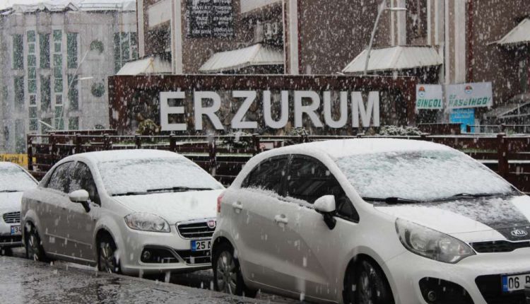 Erzurum’da bahari beklerken kis geri geldi