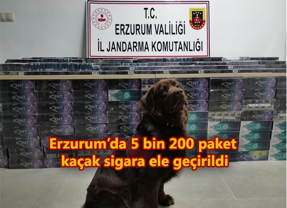 Erzurum’da 5 bin 200 paket kaçak sigara ele geçirildi