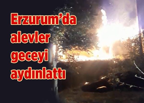 Erzurum’da alevler geceyi aydinlatti