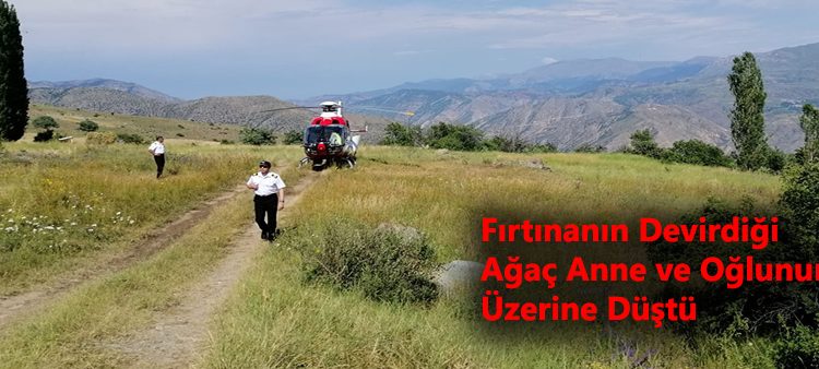 Firtinanin devirdigi agaç anne ve oglunun üzerine düstü