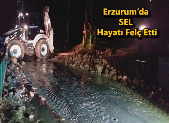 Erzurum’da sel hayati felç etti: 1 okul ve 1 ev sular altinda kaldi