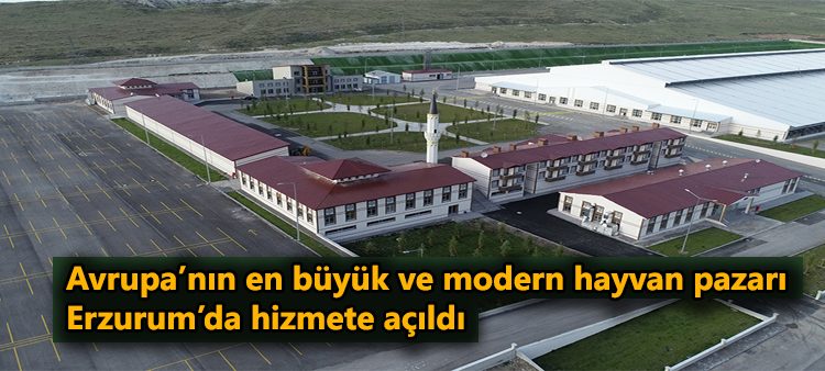 Avrupa’nin en büyük ve modern hayvan pazari Erzurum’da hizmete açildi