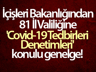 Ülke genelinde gerçeklestirilen kapsamli korona virüs denetimlerine devam edilecek