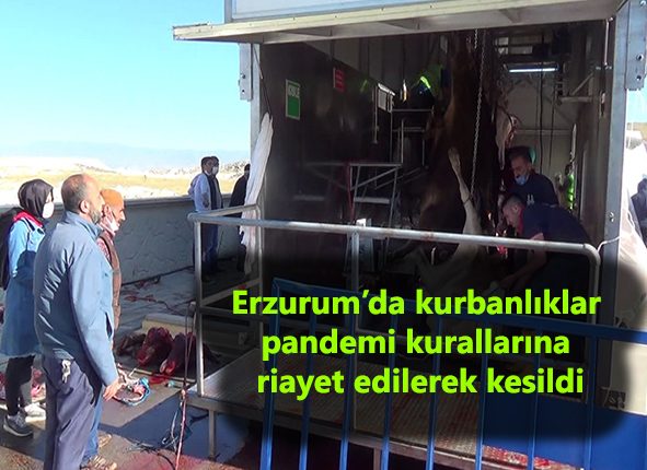 Erzurum’da kurbanliklar pandemi kurallarina riayet edilerek kesildi