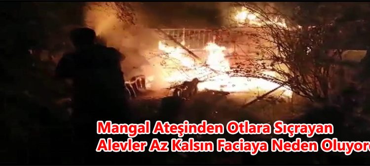 Mangal atesinden otlara siçrayan alevler az kalsin faciaya neden oluyordu