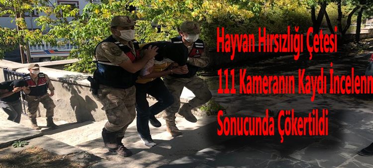 Hayvan hirsizligi çetesi 111 kameranin kaydi incelenmesi sonucunda çökertildi