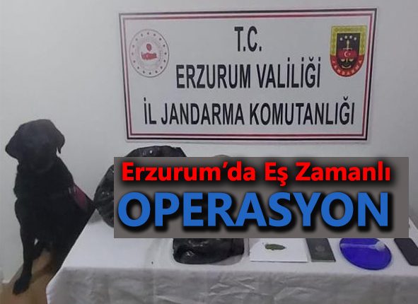 Erzurum’da silah ve mühimmat kaçakçiligi ile uyusturucu tacirlerine es zamanli operasyon