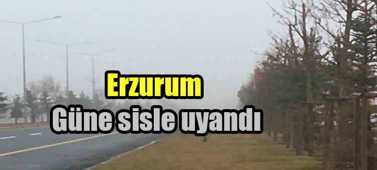 Erzurum güne sisle uyandi