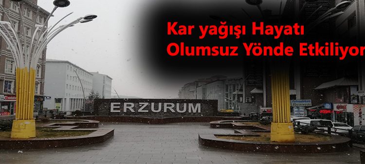 Erzurum’da kar yagisi hayati olumsuz yönde etkiliyor