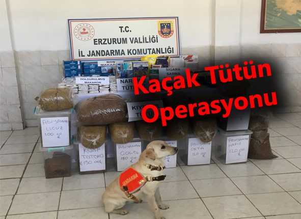 Erzurum’da kaçak tütün operasyonu