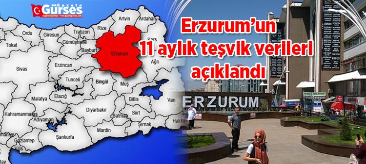 Erzurum’un 11 aylik tesvik verileri açiklandi