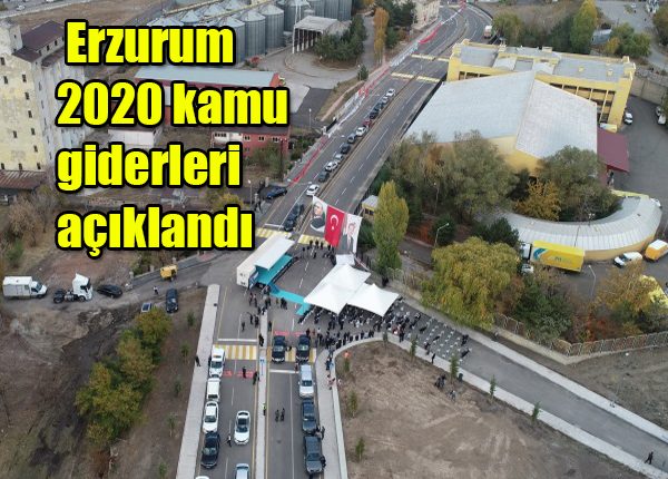 Erzurum 2020 kamu giderleri açiklandi