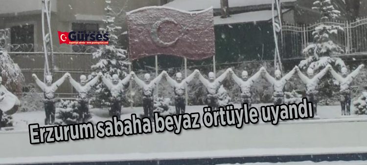 Erzurum sabaha beyaz örtüyle uyandi