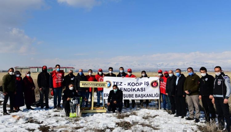 Tez-Koop-Is’ten, ETÜ’nün sokak hayvanlarina yönelik uygulamasina destek