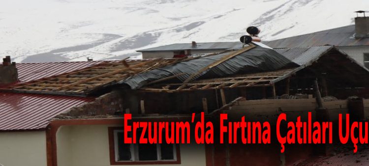 Erzurum’da firtina çatilari uçurdu