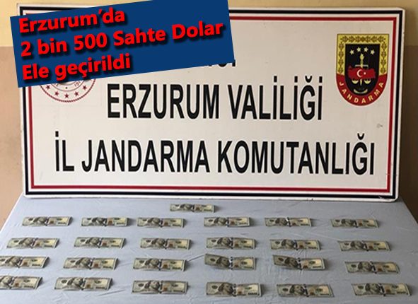 Erzurum’da 2 bin 500 sahte dolar ele geçirildi