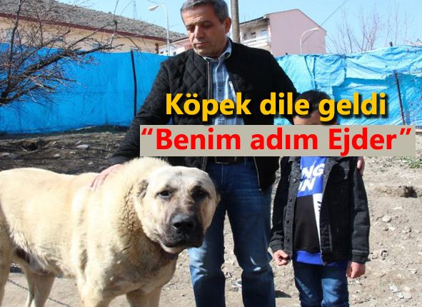 Köpek dile geldi; “Benim adim Ejder”