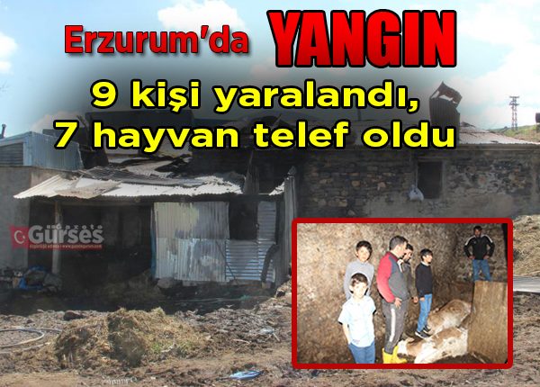 Erzurum’da feci yangin: 9 kisi yaralandi, 7 hayvan telef oldu