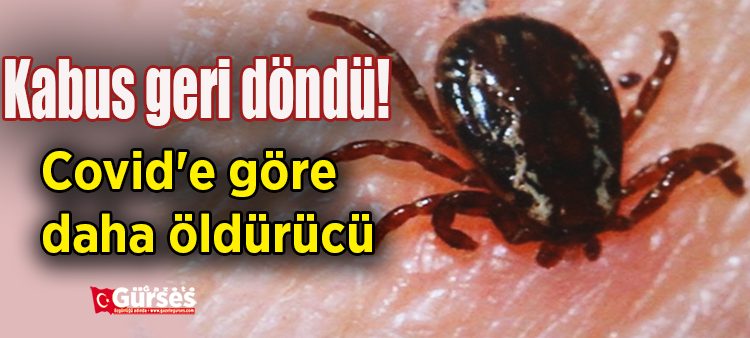 Kabus geri döndü! Covid’e göre daha öldürücü