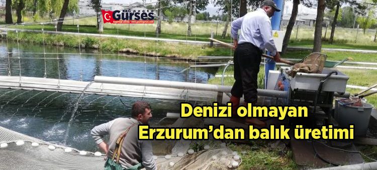 Denizi olmayan Erzurum’dan balik üretimi