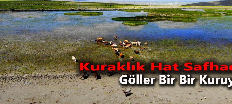 Erzurum’da kuraklik hat safhada, göller bir bir kuruyor